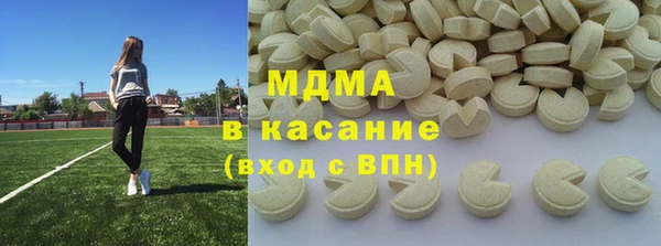 индика Алексин