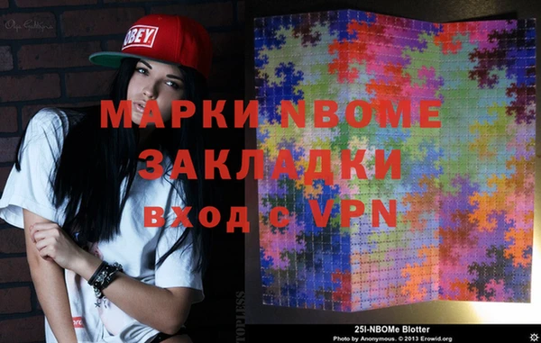 индика Алексин