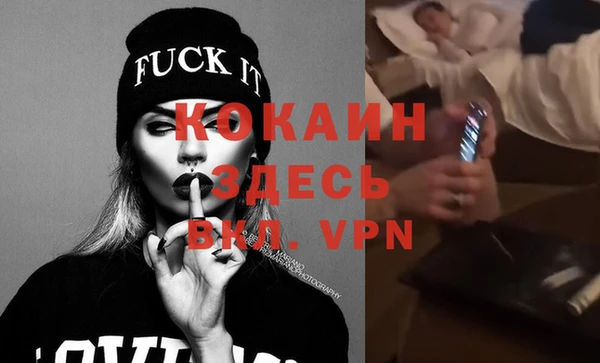 индика Алексин