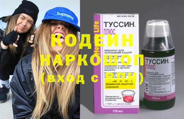 индика Алексин