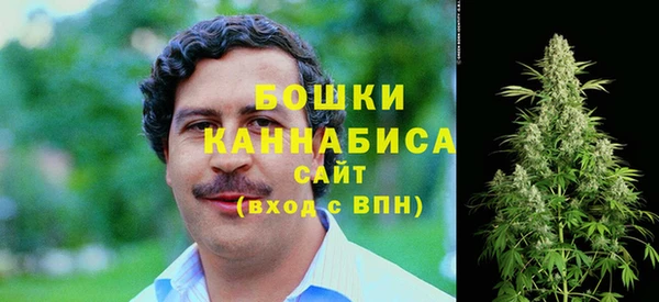 индика Алексин