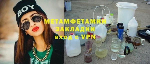 индика Алексин
