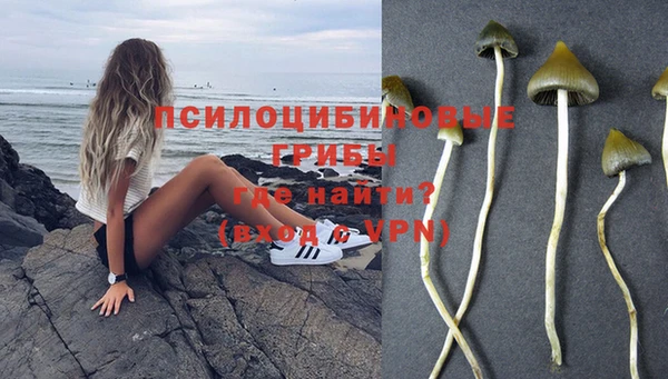 Альфа ПВП Алзамай